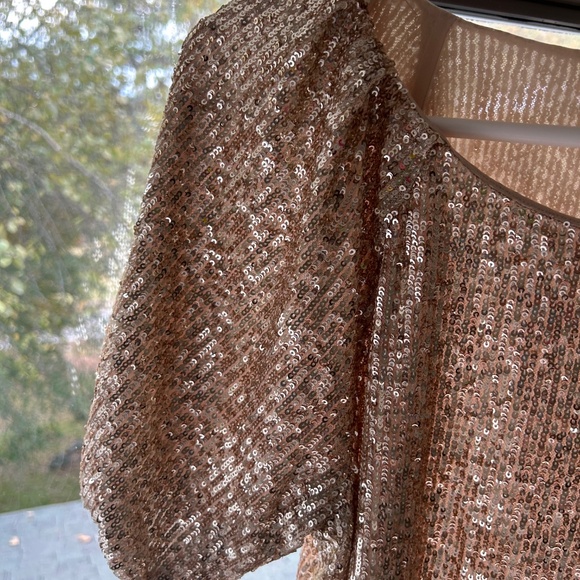 Ann Taylor Gold Sequin Raglan Sleeve Top - Picture 4 of 4